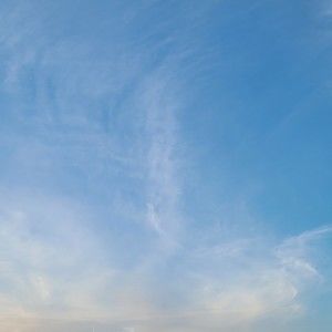 Meet your Posher, Cori